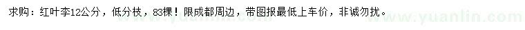 求購12公分紅葉李