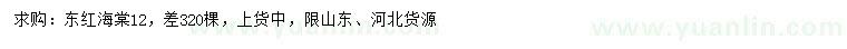 求購(gòu)12公分冬紅海棠