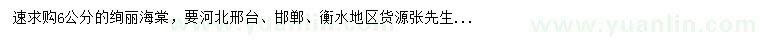 求購6公分絢麗海棠
