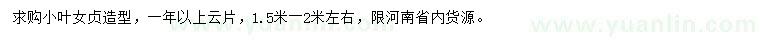 求購1.5-2米左右小葉女貞造型