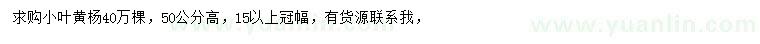 求購高50公分小葉黃楊