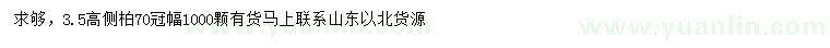 求購高3.5米側(cè)柏