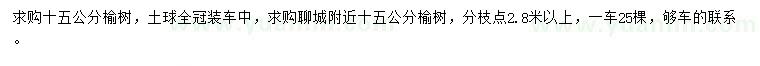 求購15公分榆樹