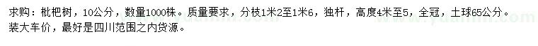 求購10公分枇杷樹