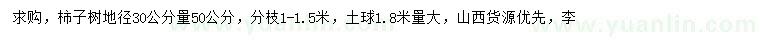 求購(gòu)地徑30公分量50公分柿子樹(shù)