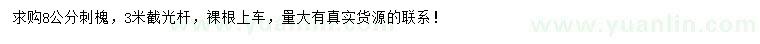 求購8公分刺槐