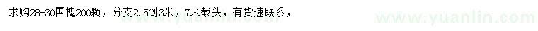 求購28-30公分國槐