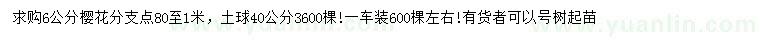 求購6公分櫻花