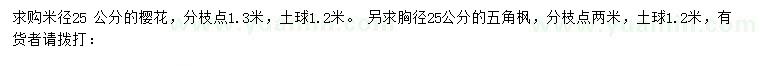 求購米徑25公分櫻花