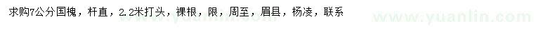 求購(gòu)7公分國(guó)槐