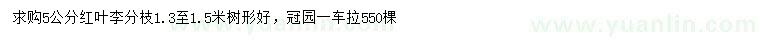 求購5公分紅葉李
