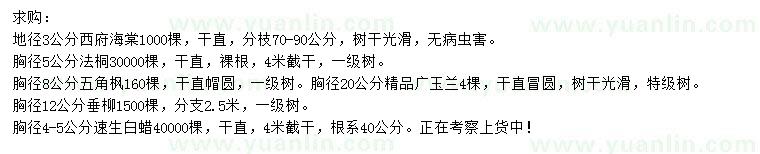 求購(gòu)西府海棠、法桐、五角楓等