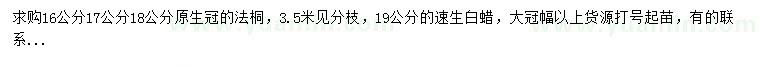 求購16、17、18公分法桐、19公分速生白蠟