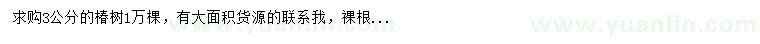求購3公分椿樹