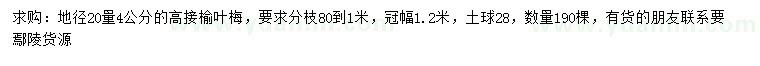 求購地徑20量4公分高接榆葉梅