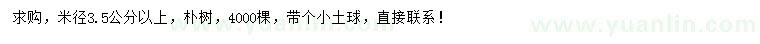 求購(gòu)米徑3.5公分以上樸樹(shù)