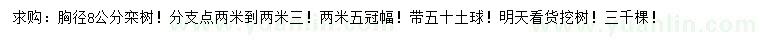 求購胸徑8公分欒樹