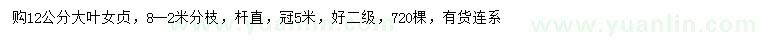 求購(gòu)12公分大葉女貞