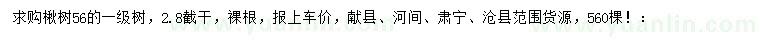 求購楸樹