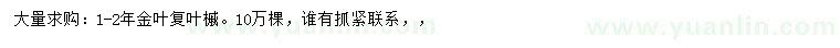 求購金葉復(fù)葉槭