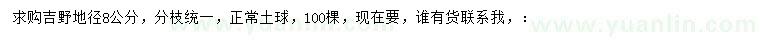 求購地徑8公分吉野櫻