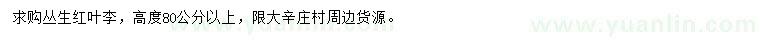 求購(gòu)高80公分以上叢生紅葉李