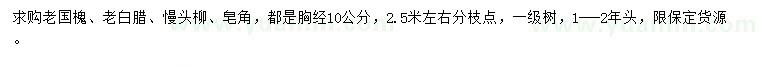 求購(gòu)老國(guó)槐、老白蠟、饅頭柳等