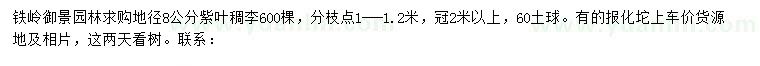 求購(gòu)地徑8公分紫葉稠李