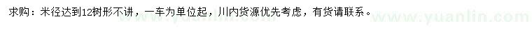 求購米徑12公分樸樹