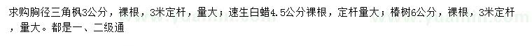 求購三角楓、速生白蠟、椿樹