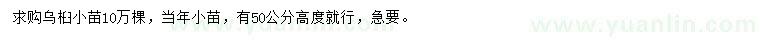 求購高50公分烏桕苗