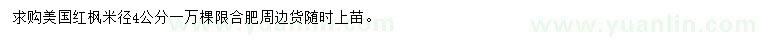 求購米徑4公分美國紅楓