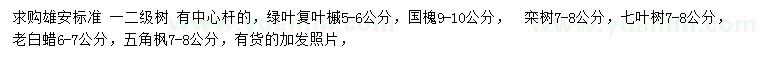 求購綠葉復(fù)葉槭、國槐、欒樹等