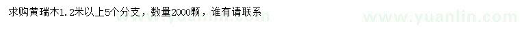 求購(gòu)1.2米以上黃瑞木