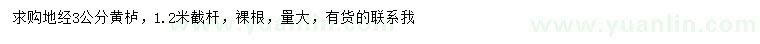 求購(gòu)地徑3公分黃櫨