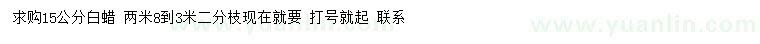 求購15公分白蠟