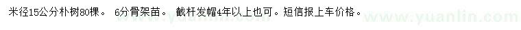 求購米徑15公分樸樹