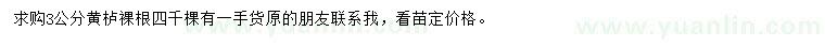 求購3公分黃櫨