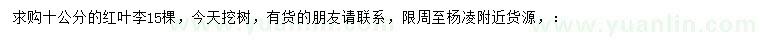 求購10公分紅葉李