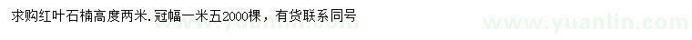 求購(gòu)高2米紅葉石楠