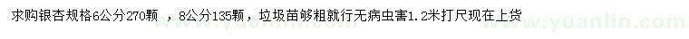 求購6、8公分銀杏