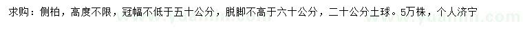 求購冠幅50公分以上側(cè)柏