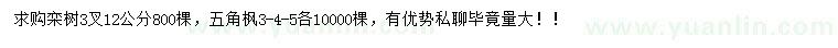 求購12公分欒樹、3-4-5公分五角楓