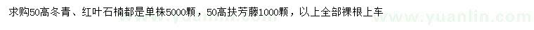 求購(gòu)高50公分冬青、紅葉石楠、扶芳藤