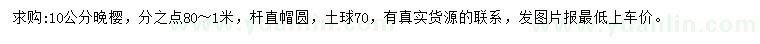 求購(gòu)10公分晚櫻