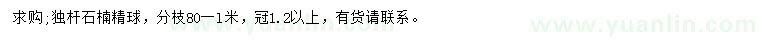 求購冠幅1.2米以上石楠球