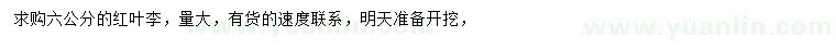 求購6公分紅葉李