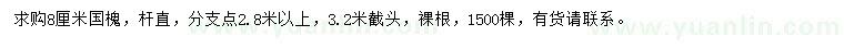 求購8公分國槐