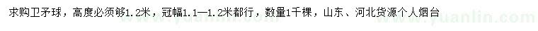 求購(gòu)高1.2米衛(wèi)矛球
