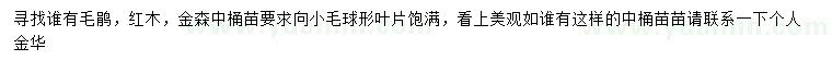 求購(gòu)毛鵑、紅花繼木、金森女貞